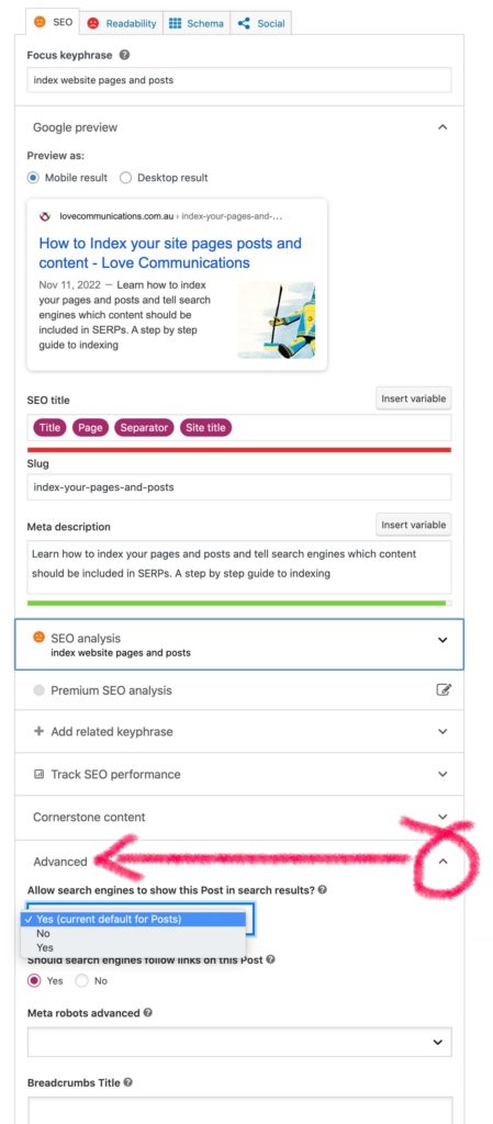 yoast index settings for yoast SEO plugin